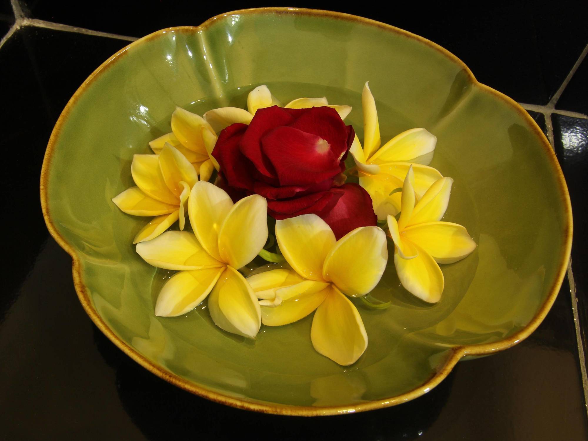Frangipani Homestay Νούσα Ντούα Εξωτερικό φωτογραφία