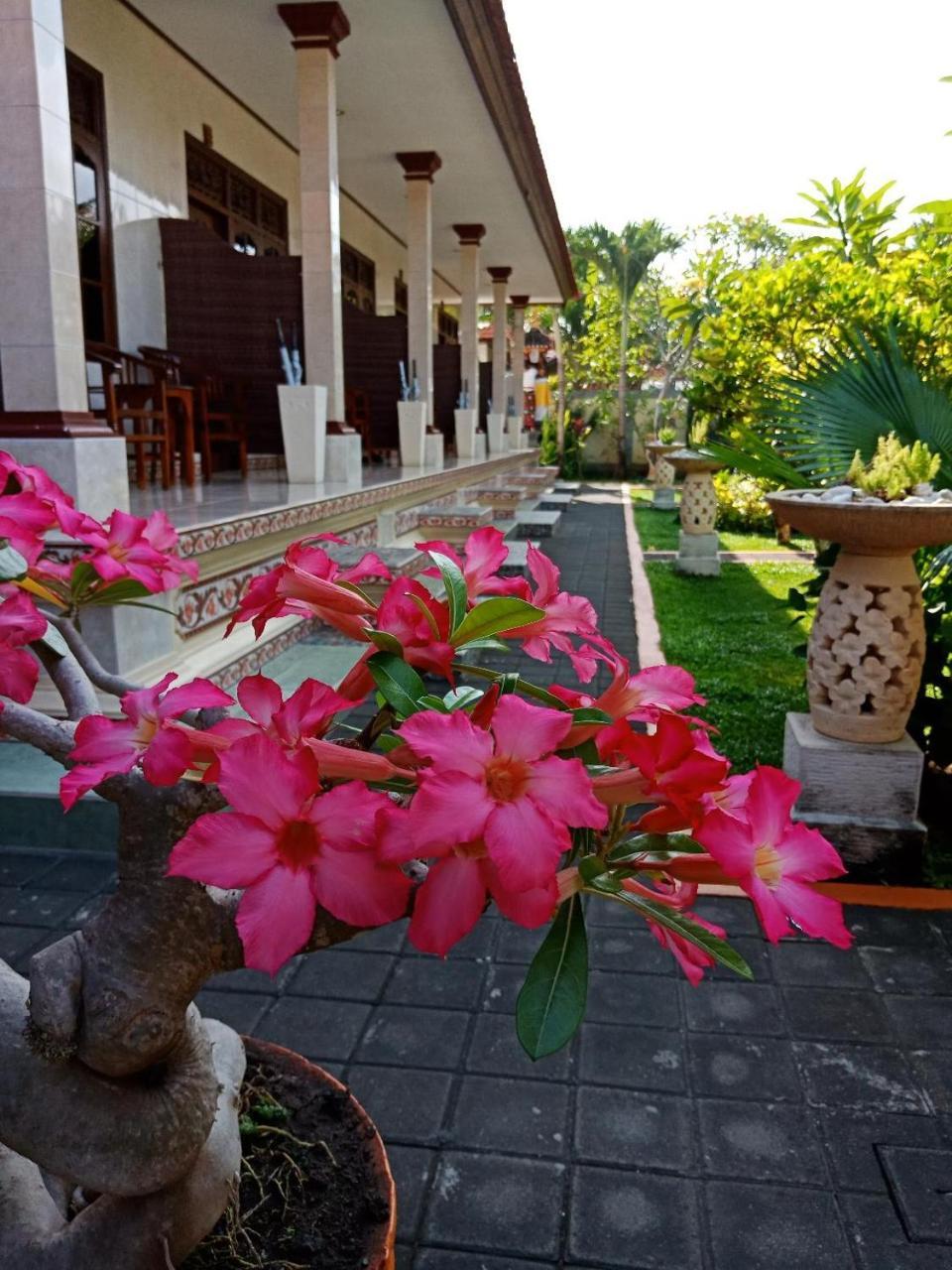 Frangipani Homestay Νούσα Ντούα Εξωτερικό φωτογραφία