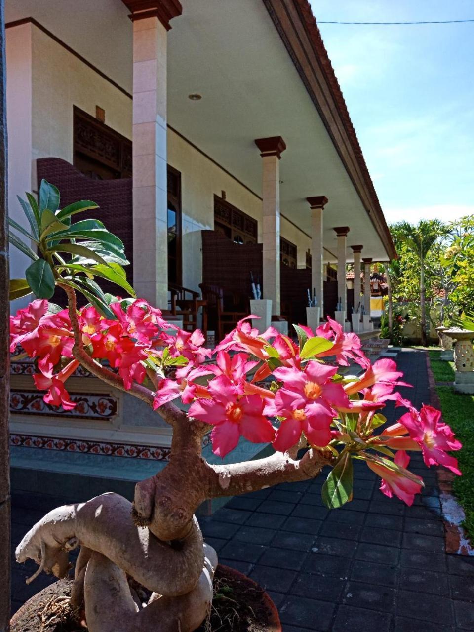 Frangipani Homestay Νούσα Ντούα Εξωτερικό φωτογραφία